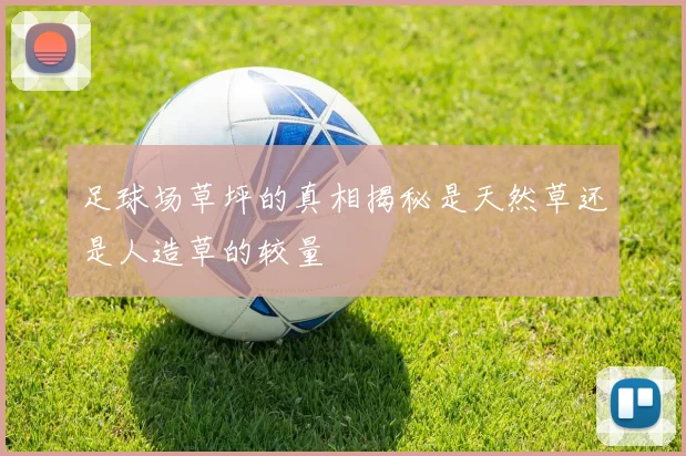 足球场草坪的真相揭秘是天然草还是人造草的较量