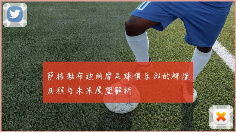 萨格勒布迪纳摩足球俱乐部的辉煌历程与未来展望解析